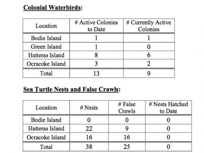 Weekly Seashore Reports 6/10/15